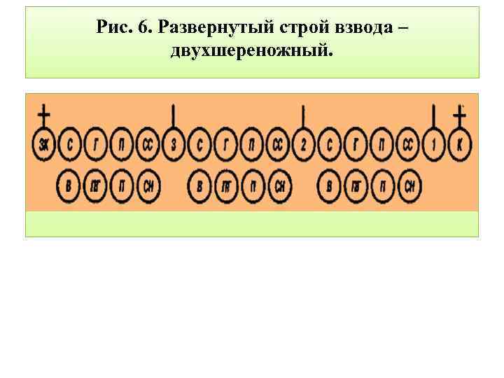 Рис. 6. Развернутый строй взвода – двухшереножный. 