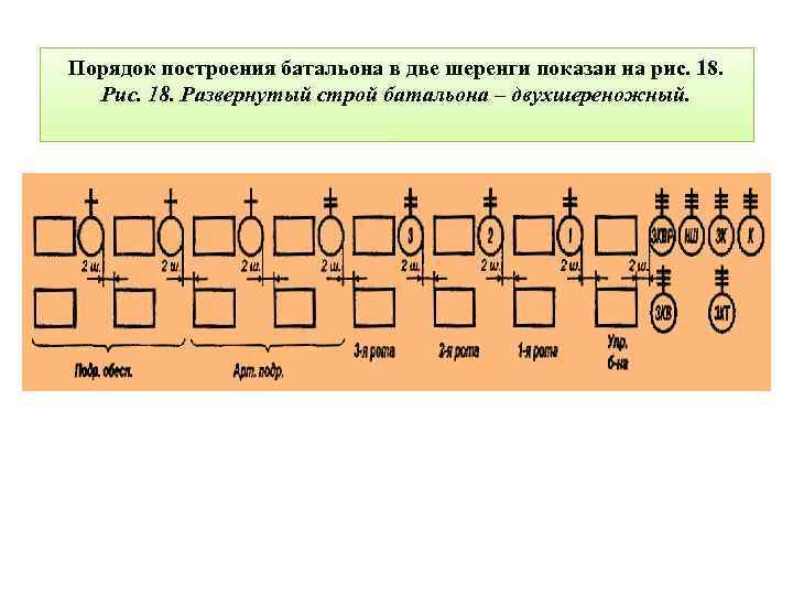 Порядок построения батальона в две шеренги показан на рис. 18. Развернутый строй батальона –