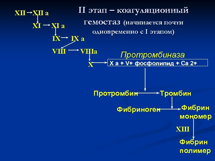 XII a XI XI a IX VIII II этап – коагуляционный гемостаз (начинается почти