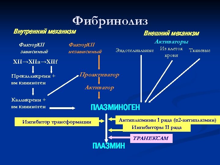 Фибринолиз Внутренний механизм Фактор. XII зависимый Внешний механизм Фактор. XII независимый Активаторы Эндотелиальные Из