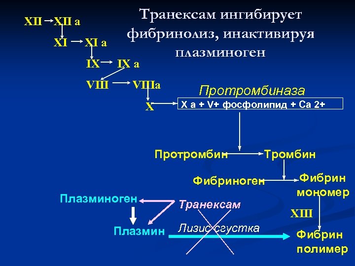 XII a XI XI a IX VIII Транексам ингибирует фибринолиз, инактивируя плазминоген IX a