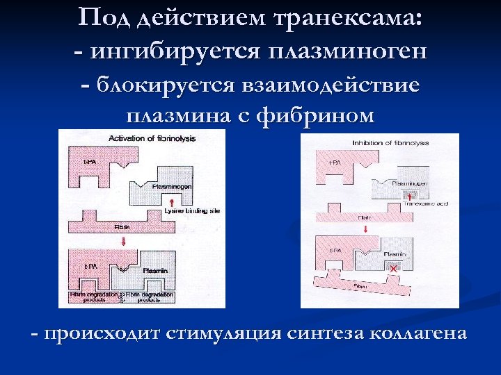 Под действием транексама: - ингибируется плазминоген - блокируется взаимодействие плазмина с фибрином - происходит