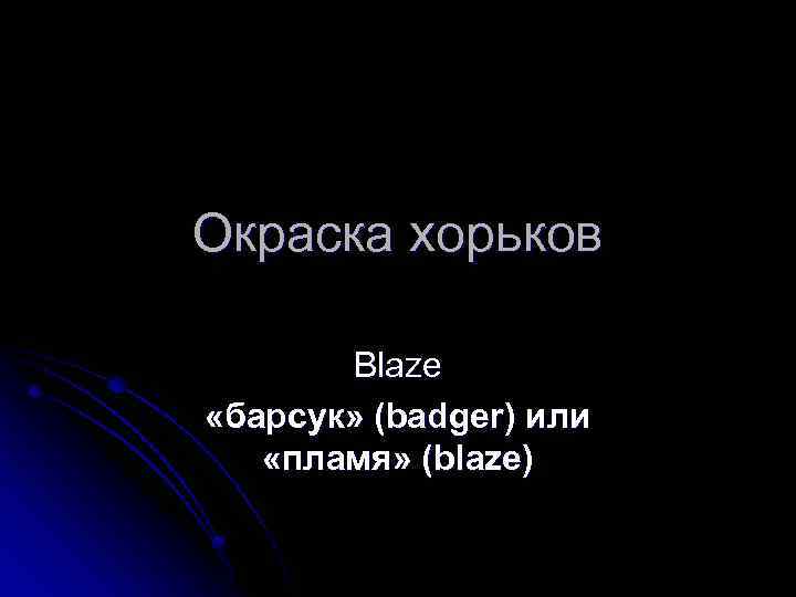 Окраска хорьков Blaze «барсук» (badger) или «пламя» (blaze) 