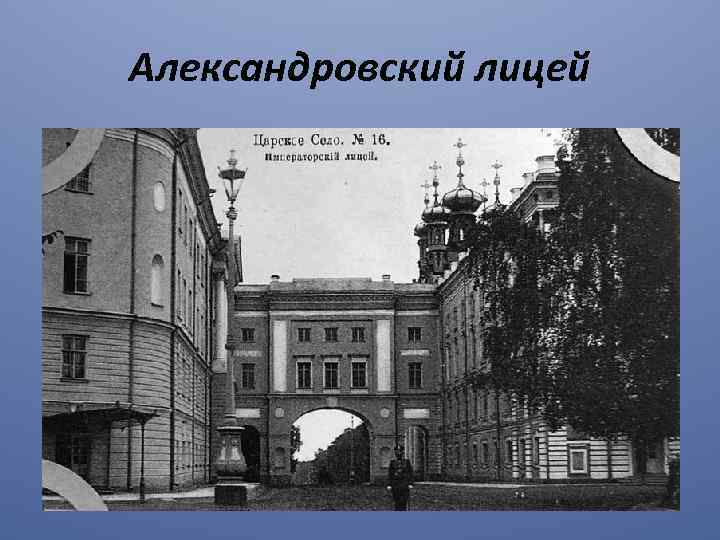 Александровский лицей 
