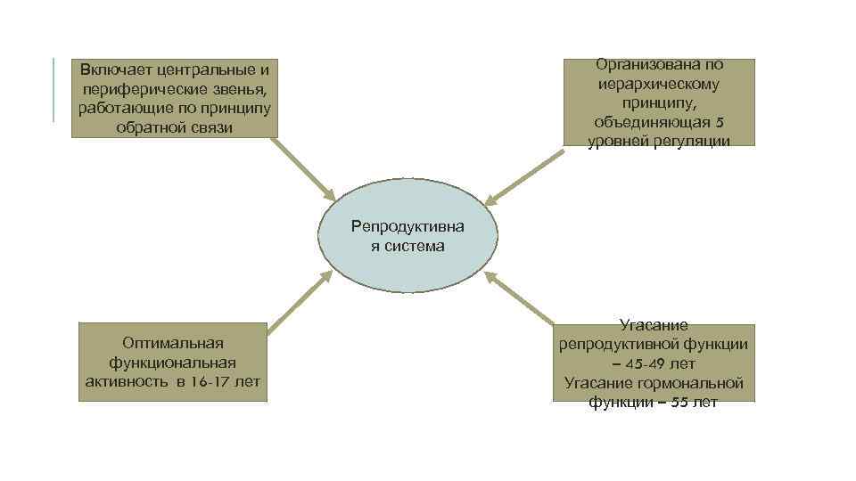 Организована по иерархическому принципу, объединяющая 5 уровней регуляции Включает центральные и периферические звенья, работающие