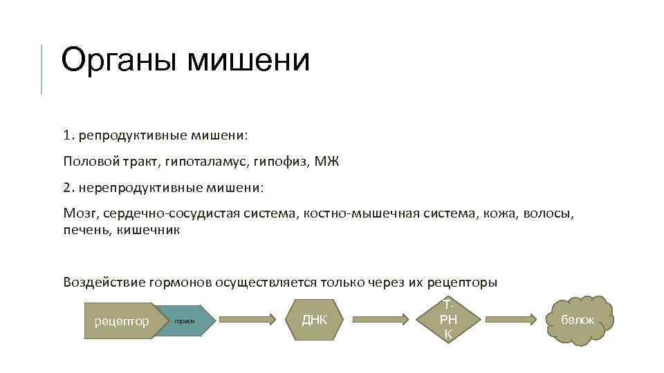 Органы мишени 1. репродуктивные мишени: Половой тракт, гипоталамус, гипофиз, МЖ 2. нерепродуктивные мишени: Мозг,