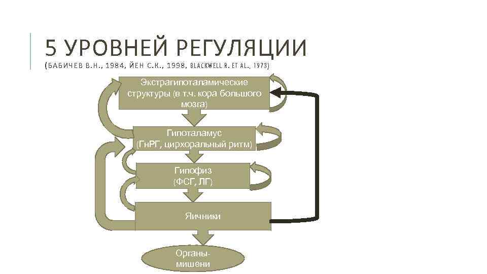 5 УРОВНЕЙ РЕГУЛЯЦИИ ( БАБИЧЕВ В. Н. , 1984, ЙЕН С. К. , 1998,