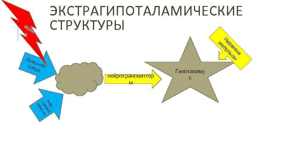 ЭКСТРАГИПОТАЛАМИЧЕСКИЕ СТРУКТУРЫ во йн а е ы вн ьсы ер л Н пу им
