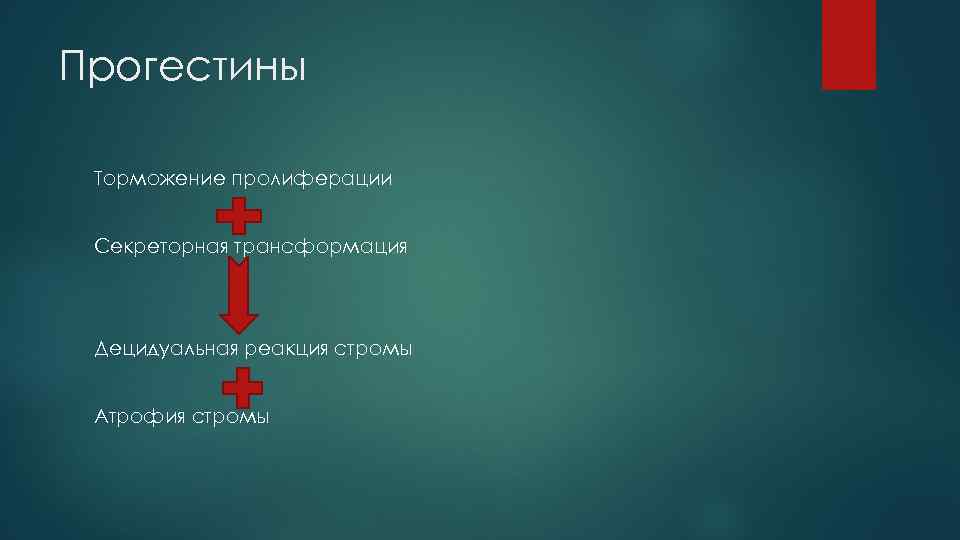 Прогестины Торможение пролиферации Секреторная трансформация Децидуальная реакция стромы Атрофия стромы 