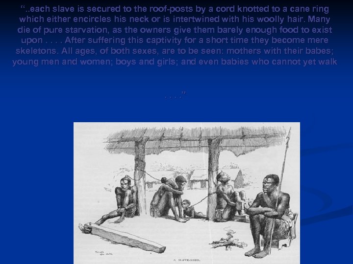 “. . each slave is secured to the roof-posts by a cord knotted to