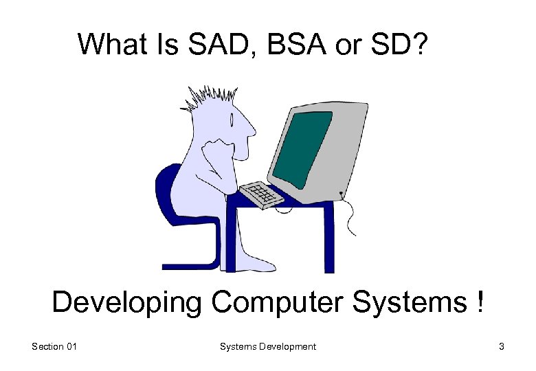 What Is SAD, BSA or SD? Developing Computer Systems ! Section 01 Systems Development