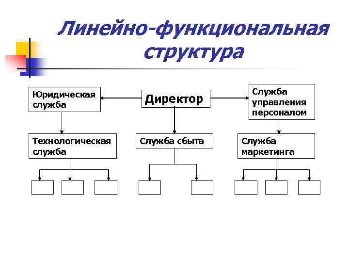 Функциональные структуры службы маркетинга