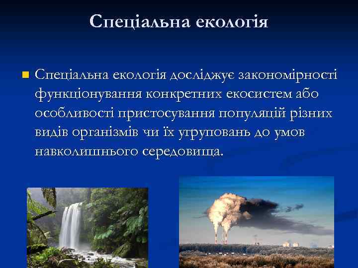 Спеціальна екологія n Спеціальна екологія досліджує закономірності функціонування конкретних екосистем або особливості пристосування популяцій