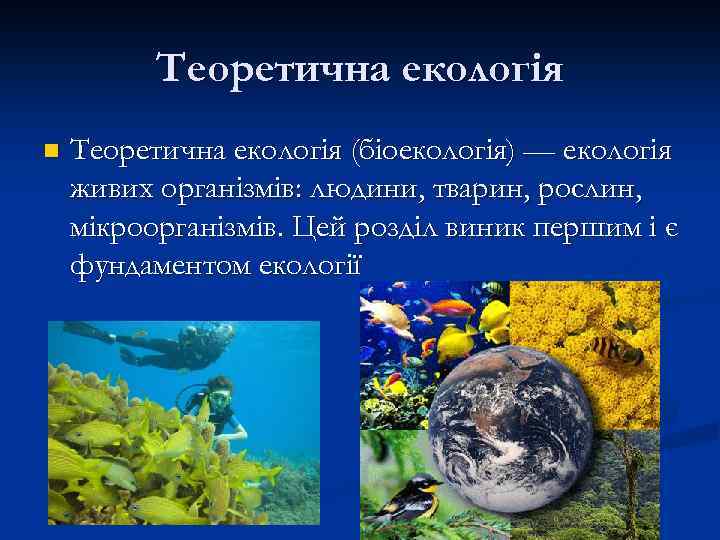 Теоретична екологія n Теоретична екологія (біоекологія) — екологія живих організмів: людини, тварин, рослин, мікроорганізмів.