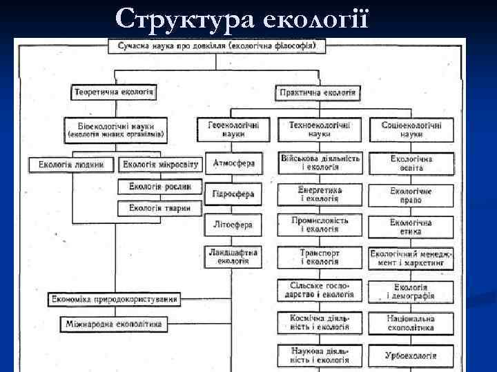 Структура екології 