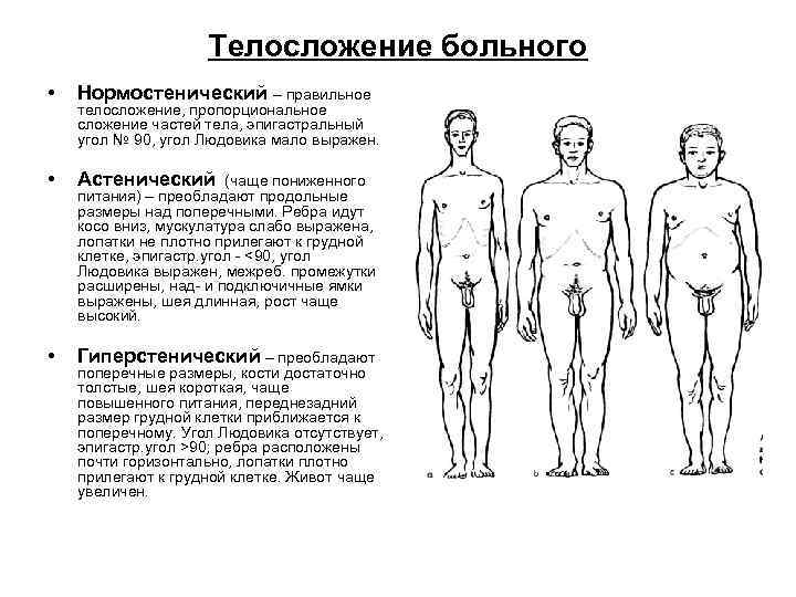 Телосложение больного • Нормостенический – правильное • Астенический • Гиперстенический – преобладают телосложение, пропорциональное