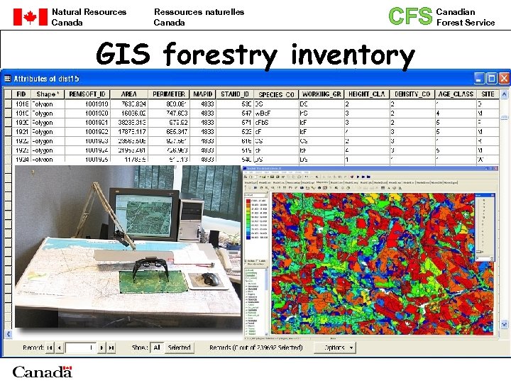 Natural Resources Canada Ressources naturelles Canada CFS GIS forestry inventory Canadian Forest Service 