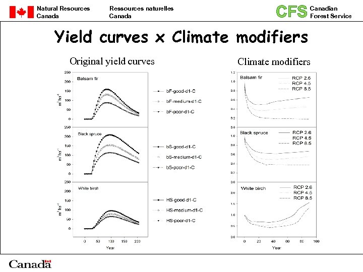Natural Resources Canada Ressources naturelles Canada CFS Canadian Forest Service Yield curves x Climate