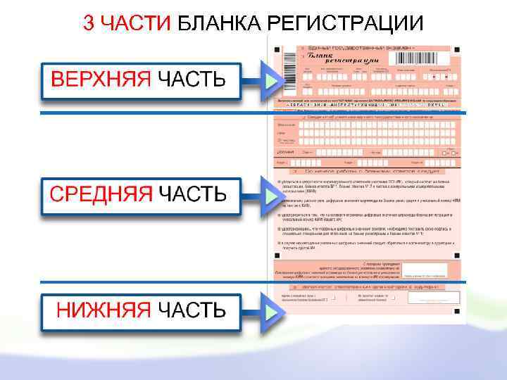 3 ЧАСТИ БЛАНКА РЕГИСТРАЦИИ 