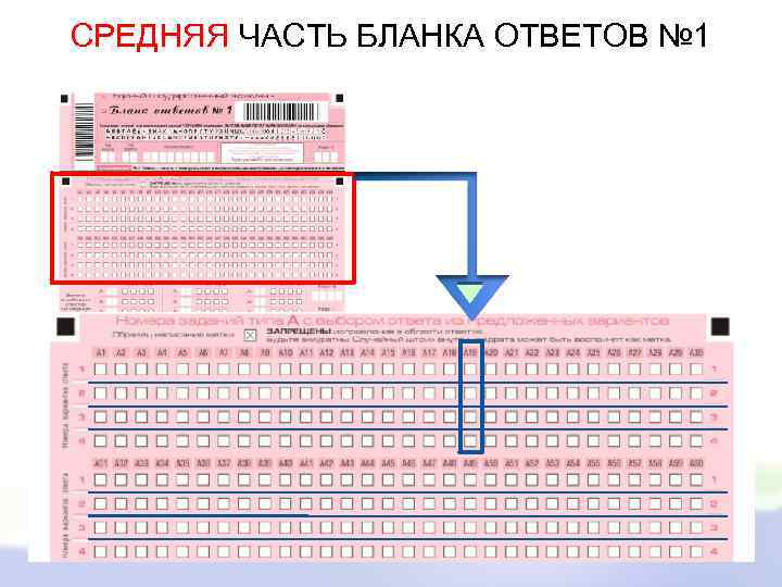 СРЕДНЯЯ ЧАСТЬ БЛАНКА ОТВЕТОВ № 1 