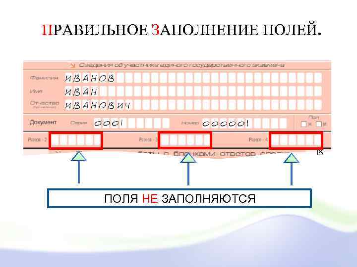 Заполнение полей