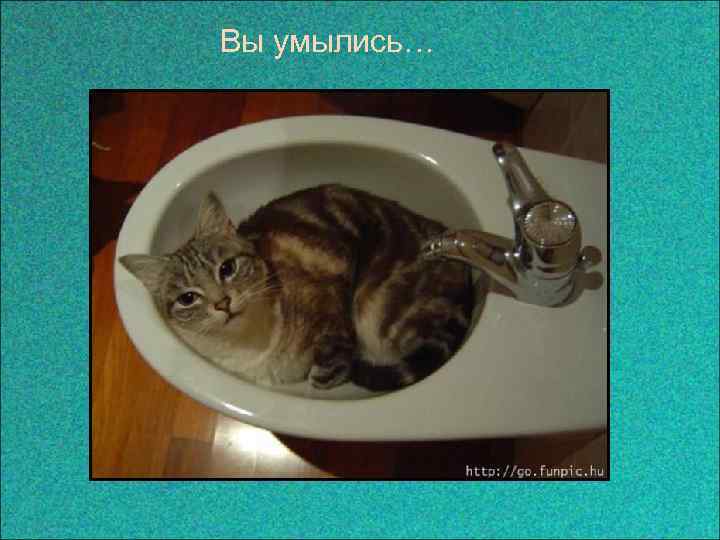 Вы умылись… 