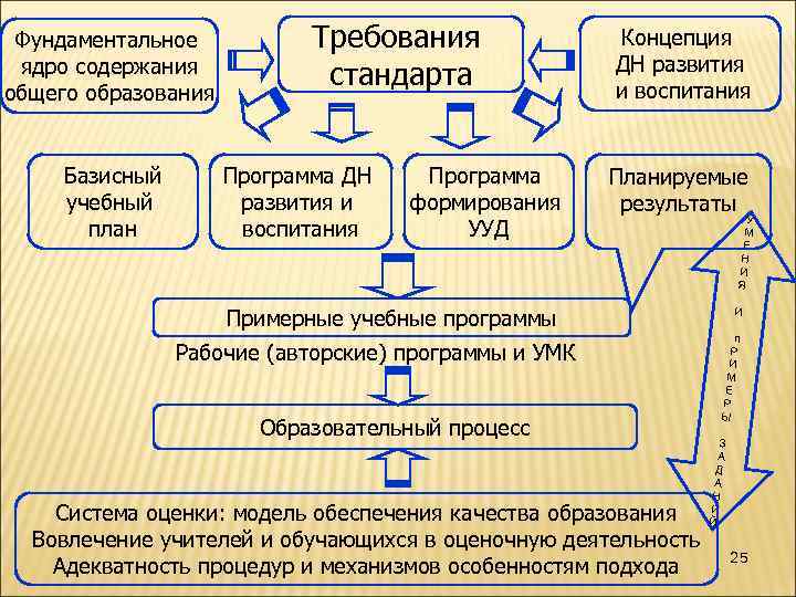 Фундаментальное ядро содержания общего образования Базисный учебный план Требования стандарта Программа ДН развития и