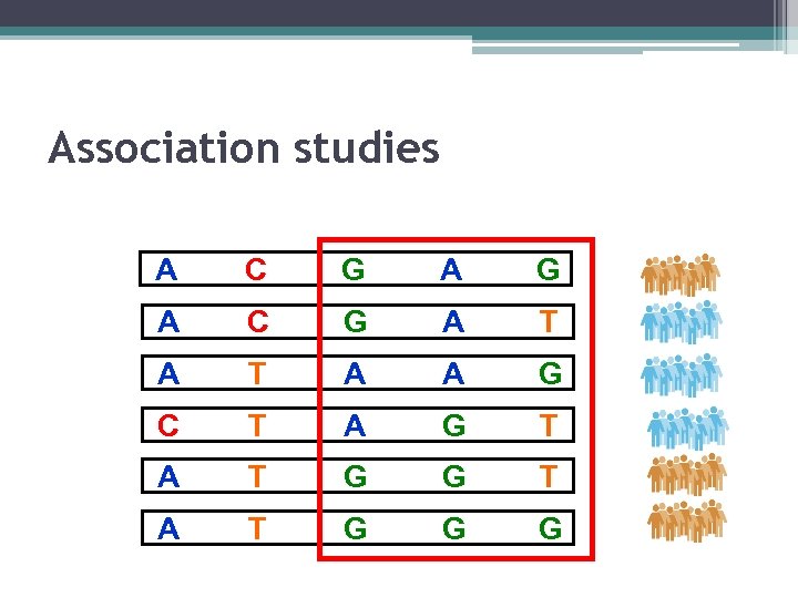 Association studies A C G A T A A G C T A G