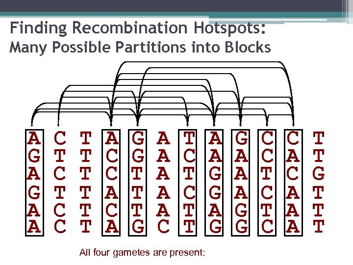 Finding Recombination Hotspots: Many Possible Partitions into Blocks A G A A C T