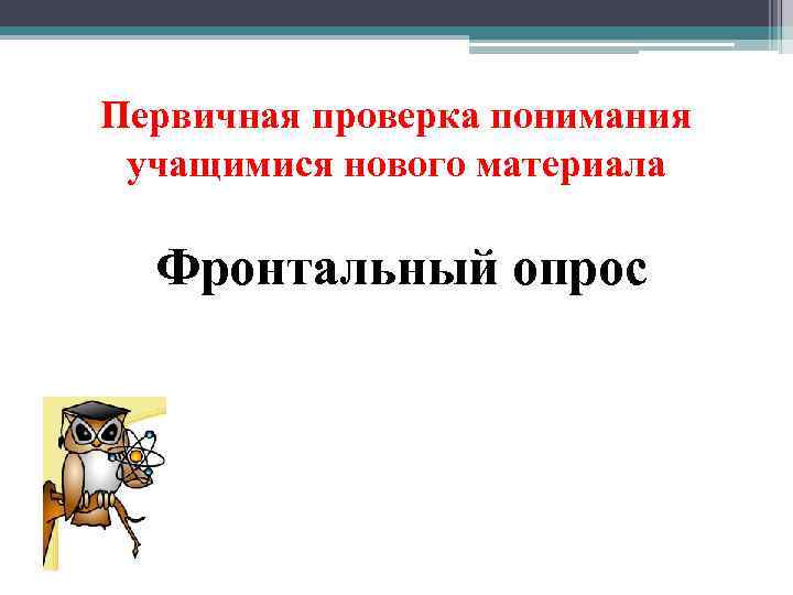 Первичная проверка понимания учащимися нового материала Фронтальный опрос 