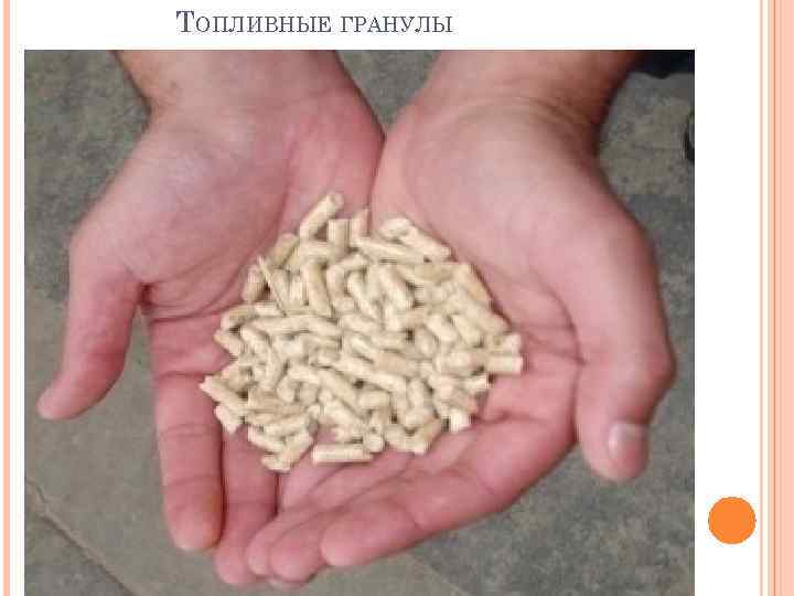 ТОПЛИВНЫЕ ГРАНУЛЫ 