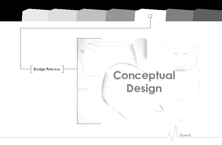 Design Process Conceptual Design Biomech 