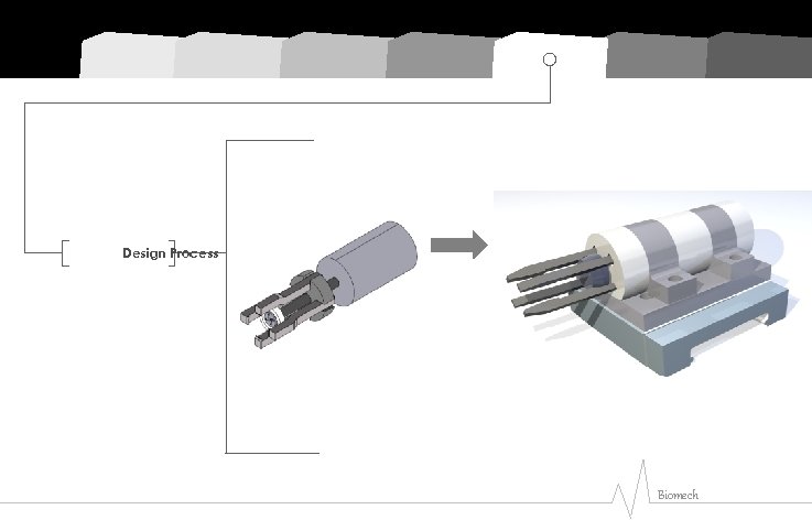 Design Process Biomech 