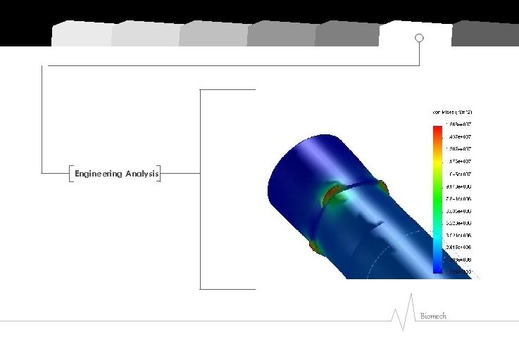 Engineering Analysis Biomech 