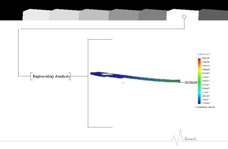 Engineering Analysis Biomech 