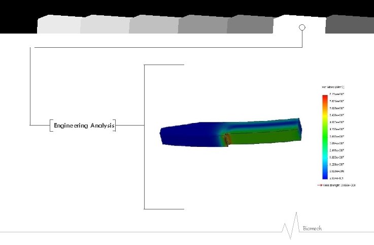Engineering Analysis Biomech 