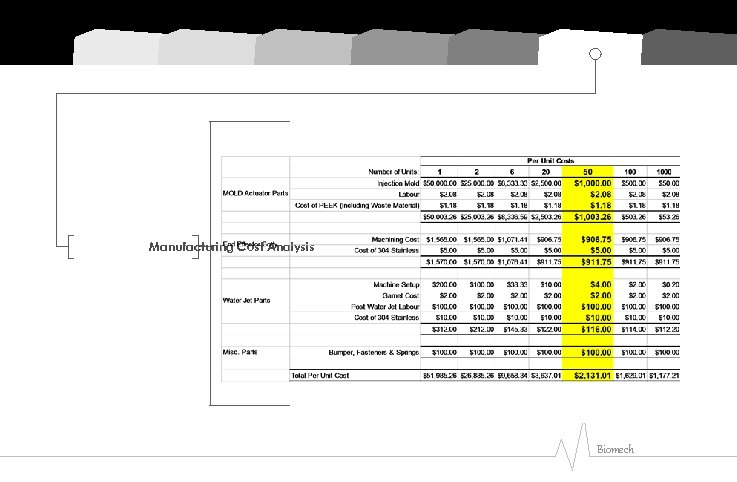 Manufacturing Cost Analysis Biomech 