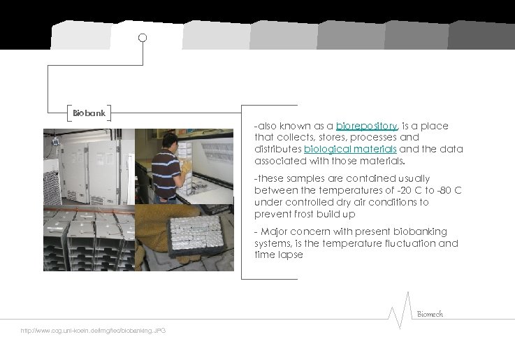 Biobank -also known as a biorepository, is a place that collects, stores, processes and