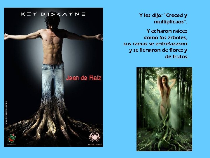 Y les dijo: “Creced y multiplicaos”. Y echaron raíces como los árboles, sus ramas