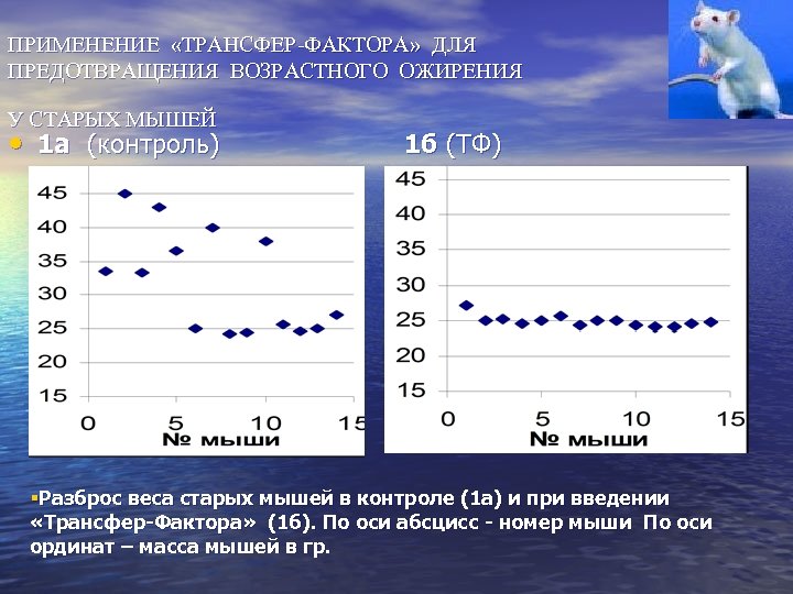 ПРИМЕНЕНИЕ «ТРАНСФЕР-ФАКТОРА» ДЛЯ ПРЕДОТВРАЩЕНИЯ ВОЗРАСТНОГО ОЖИРЕНИЯ У СТАРЫХ МЫШЕЙ • 1 а (контроль) 1