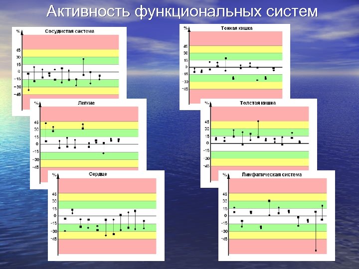 Активность функциональных систем 