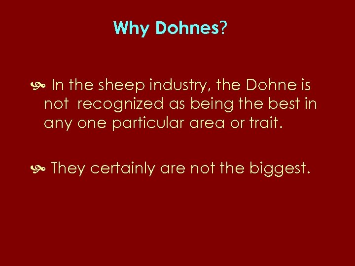 Why Dohnes? In the sheep industry, the Dohne is not recognized as being the