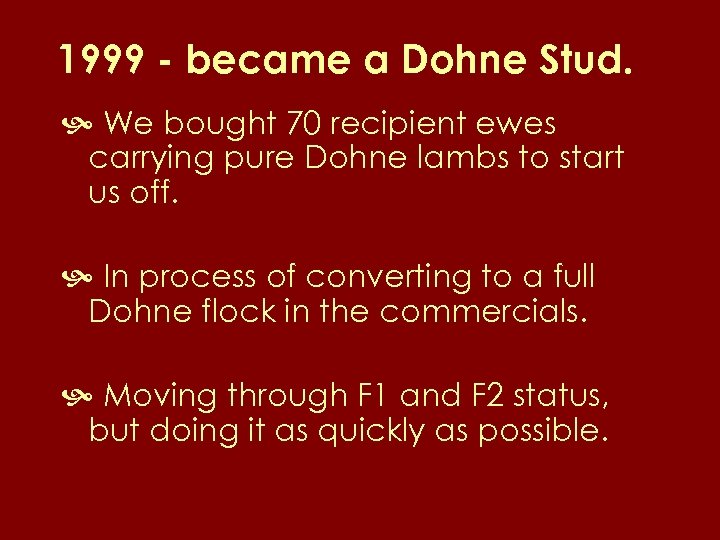 1999 - became a Dohne Stud. We bought 70 recipient ewes carrying pure Dohne