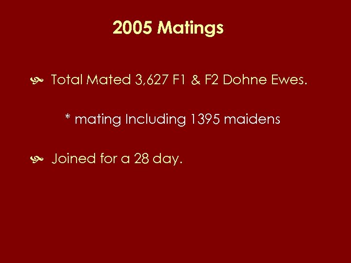 2005 Matings Total Mated 3, 627 F 1 & F 2 Dohne Ewes. *