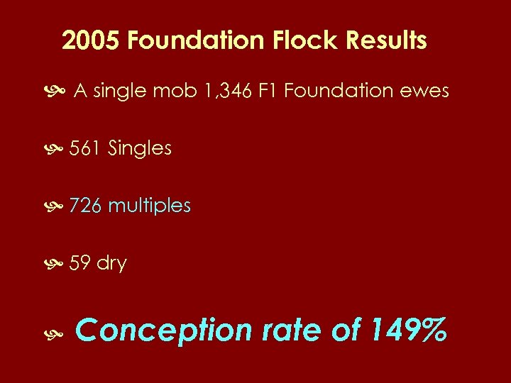 2005 Foundation Flock Results A single mob 1, 346 F 1 Foundation ewes 561