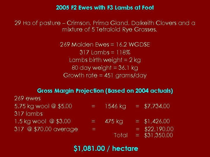2005 F 2 Ewes with F 3 Lambs at Foot 29 Ha of pasture