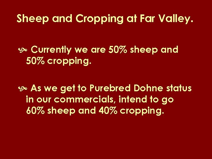 Sheep and Cropping at Far Valley. Currently we are 50% sheep and 50% cropping.