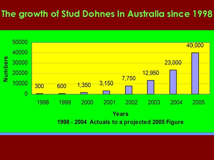 The growth of Stud Dohnes in Australia since 1998 