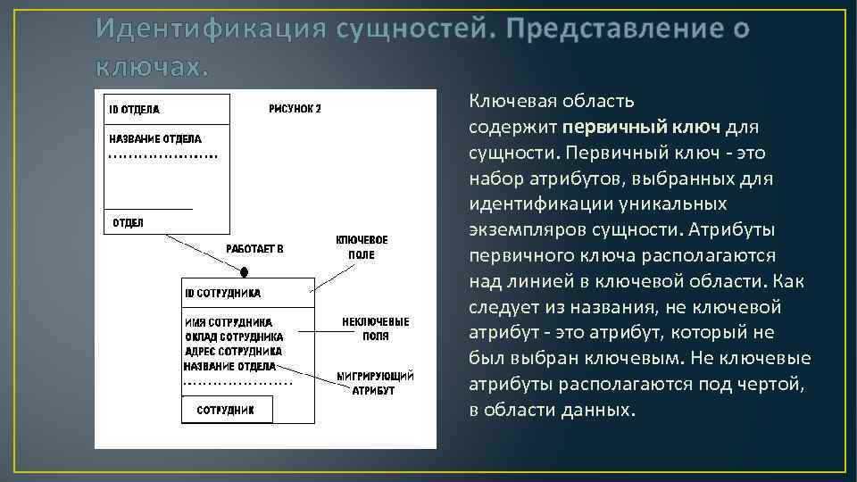 Атрибуты каждой сущности