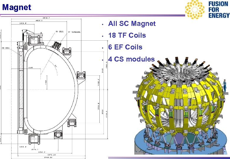 Magnet • All SC Magnet • 18 TF Coils • 6 EF Coils •